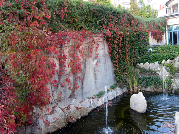 Mùa thu ở Karlovy Vary. 