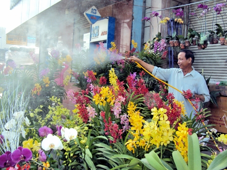 Ông Ngọc Đồng vừa là người chơi hoa, vừa là người kinh doanh hoa lan có tiếng ở TP.Biên Hòa.
