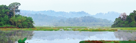 Bàu Sấu (Vườn quốc gia Cát Tiên), khu vực sẽ chịu ảnh hưởng nặng nề nếu dự án thủy điện Đồng Nai 6 và 6A được thực hiện.
