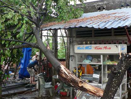 cây đổ đè vào mái nhà của một hộ dân tại ấp Tân Hoa, xã Bàu Hàm