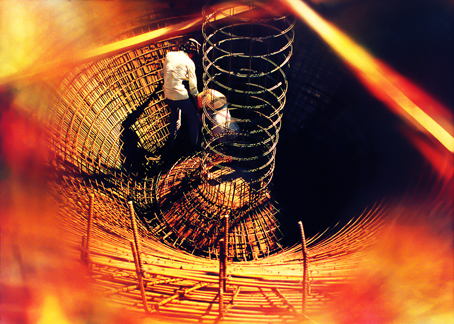 Tác phẩm Đồng tâm (tác giả Bùi Viết Đồng).