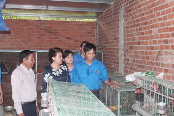Đồng chí Phan Thị Mỹ Thanh, Phó bí thư Tỉnh ủy tham quan mô hình chăn nuôi gà Đông Tảo của anh Cao Vĩnh Phát, xã Phú Hội