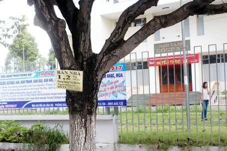  Cây xanh trước Bảo tàng Đồng Nai bị chiếm dụng để treo quảng cáo rao bán đất.