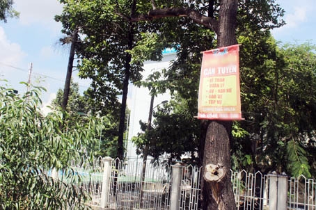 Thông tin tuyển dụng trên cây xanh trước cổng Trường đại học Đồng Nai.