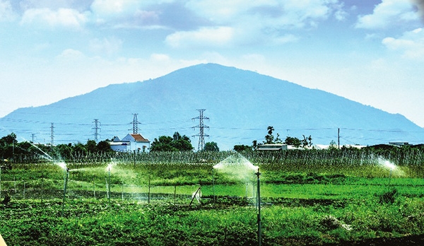 Nông dân tưới nước chăm sóc cây con giống vào mùa nắng ở huyện Trảng Bom Tưới nước trong vườn rau ở xã Xuân Phú (huyện Xuân Lộc)