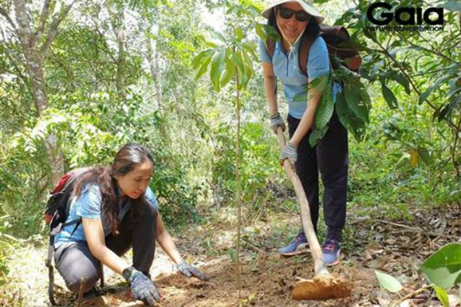 Illustrative image (Photo: SGT)