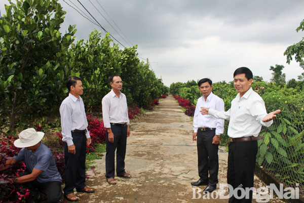 Gần dân thì việc gì cũng thành công