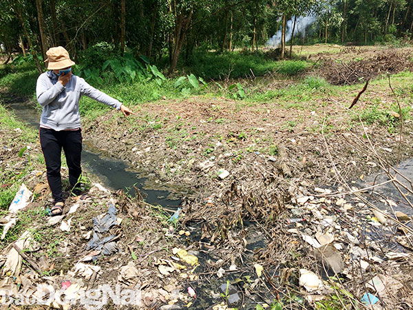 Nước rỉ rác từ điểm trung chuyển rác chảy thẳng ra rạch Trà ở xã Tam An (huyện Long Thành)