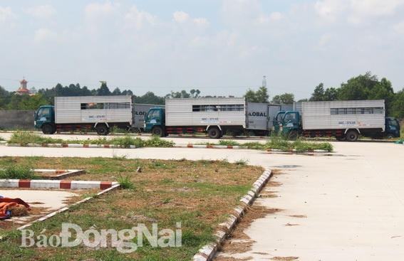 Nhiều xe tập lái đã được Trung tâm dạy nghề lái xe Ô tô Sài Gòn đưa vào  bên trong công trình xây dựng trái phép tại xã Tam Phước