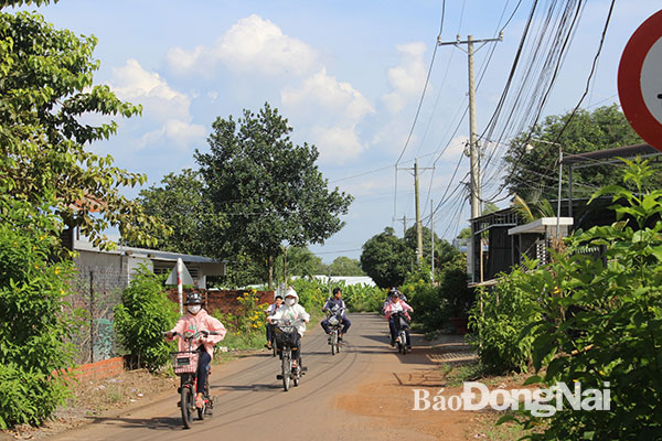 Một tuyến đường giao thông sáng - xanh - sạch - đẹp từ phong trào xã hội hóa giao thông nông thôn tại xã Gia Tân 3 (huyện Thống Nhất). Ảnh: Công Nghĩa