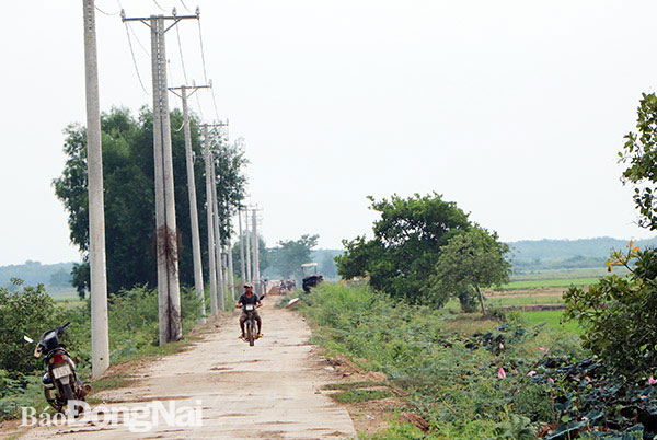 Điện và giao thông nội đồng được đầu tư đồng bộ để phục vụ sản xuất tại xã Phú Điền. Ảnh: T.Mộc