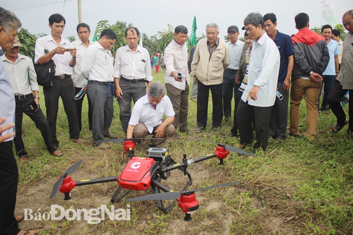 Nông dân thử nghiệm sử dụng máy bay tự động phun thuốc trừ sâu tại xã Xuân Hưng (H.Xuân Lộc)