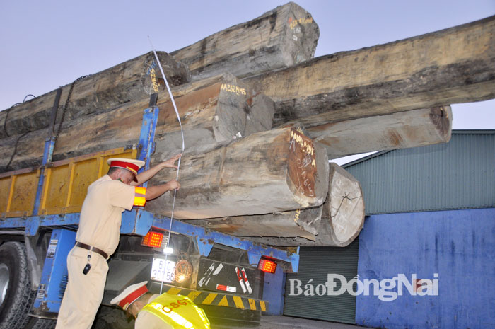 Tổ công tác đặc biệt của Công an tỉnh phát hiện, kiểm tra một xe tải chở gỗ vi phạm các lỗi quá tải, vượt quá kích thước thành thùng xe trên quốc lộ 1, đoạn qua TP.Biên Hòa  