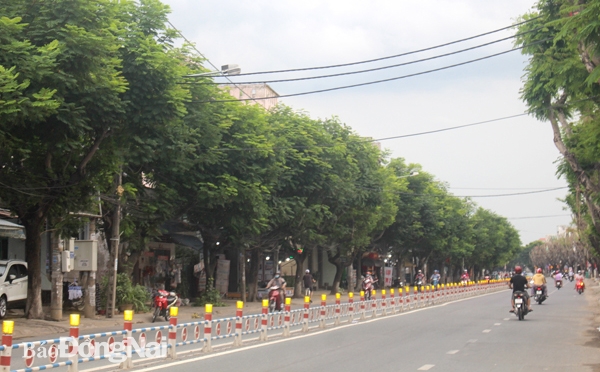 Đường Huỳnh Văn Nghệ (P.Bửu Long) là một trong những con đường sáng - xanh - sạch - đẹp của TP.Biên Hòa