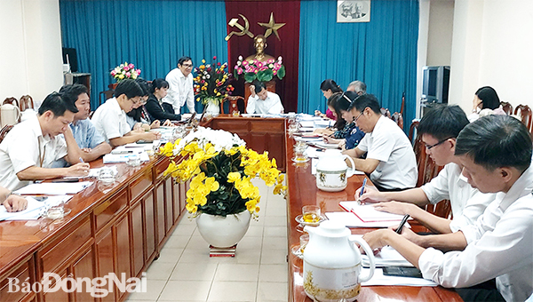 Phó chủ tịch HĐND tỉnh Nguyễn Sơn Hùng phát biểu chỉ đạo tại cuộc giám sát