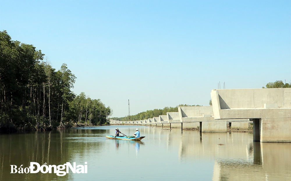 Khoảng 3,3km đường cao tốc Bến Lức- Long Thành thuộc gói thầu A7 là một trong những đoạn tuyến cao tốc duy nhất của cả nước hiện nay được xây dựng trong rừng ngập mặn