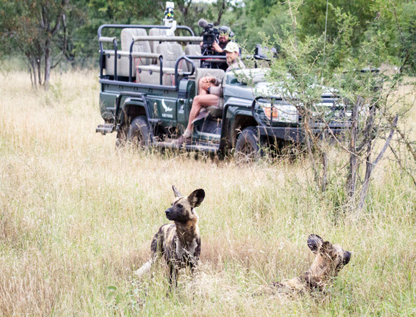 Du khách có thể tận hưởng safari ảo với Nhà điều hành tour andBeyond
