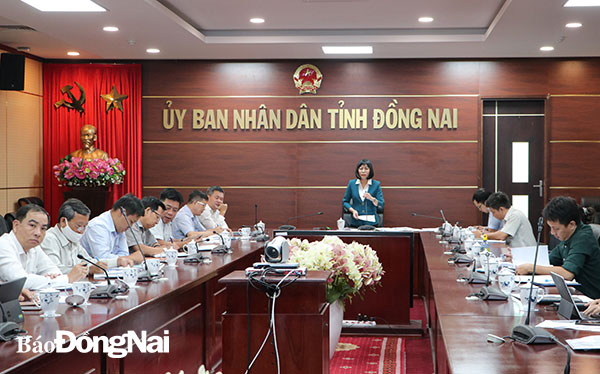 Phó chủ tịch UBND tỉnh Nguyễn Thị Hoàng phát biểu tại buổi làm việc