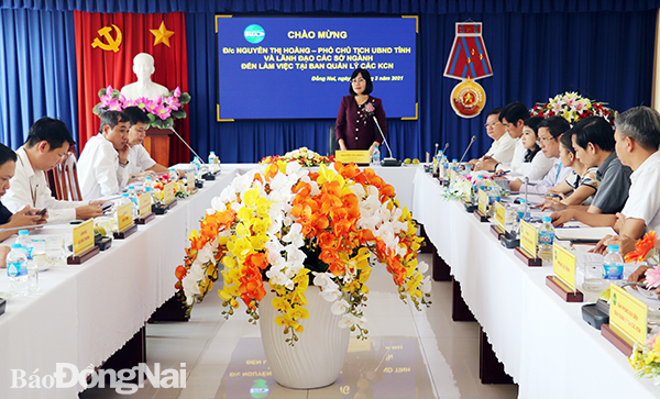  Phó chủ tịch UBND tỉnh Nguyễn Thị Hoàng phát biệu chỉ đạo tại cuộc họp