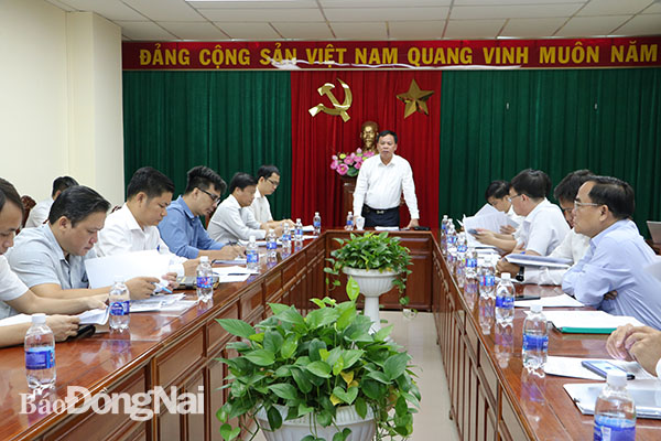 Phó chủ tịch UBND tỉnh Võ Tấn Đức phát biểu tại buổi làm việc.