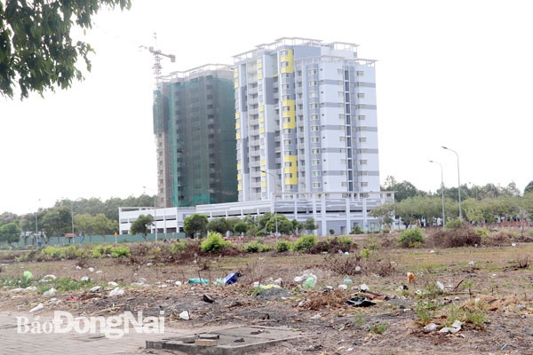Ngay sát trung tâm hành chính H.Nhơn Trạch, khu dân cư xã Phú Hội được chủ đầu tư làm móng xong nhượng lại đến nay gần 10 năm vẫn bỏ hoang
