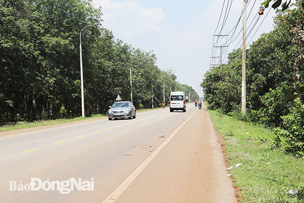 Các tuyến đường  liên huyện, liên xã của H.Cẩm Mỹ giá đất khu vực hai bên tăng rất cao. 