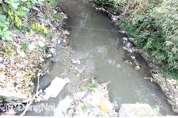 Suối Linh đoạn qua P.Long Bình, TP.Biên Hòa luôn trong tình trạng ô nhiễm do nước và rác thải sinh hoạt. Ảnh: H.LỘC