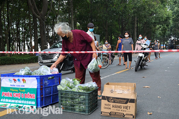 Người dân nhận rau xanh từ gian hàng 0 đồng của Đoàn phường Trung Dũng ở khu vực phong tỏa tại điểm chốt khu chợ đêm Biên Hùng. Ảnh: Huy Anh