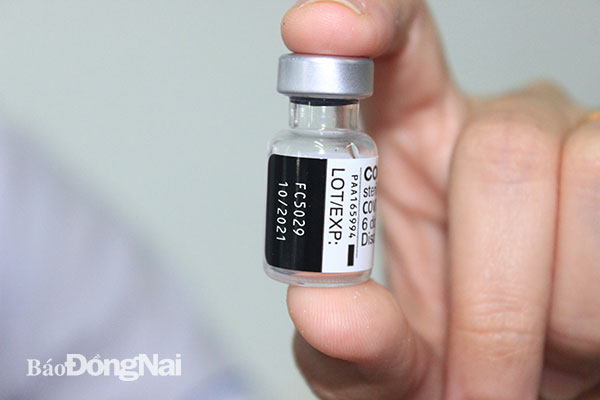 Lọ vaccine Pfizer đang được triển khai tiêm trên địa bàn tỉnh