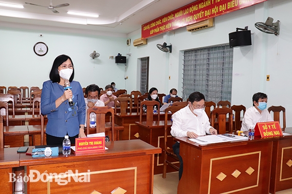 Phó chủ tịch UBND tỉnh Nguyễn Thị Hoàng phát biểu chỉ đạo tại cuộc họp.
