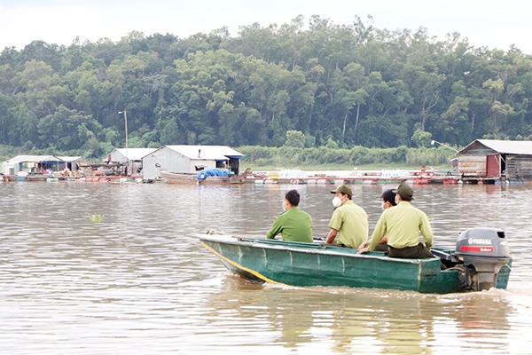 2. Bên cạnh lực lượng công an, lực lượng kiểm lâm của Khu Bảo tồn thiên nhiên - văn hóa Đồng Nai thường xuyên kiểm tra công tác phòng, chống dịch bệnh khu vực làng bè