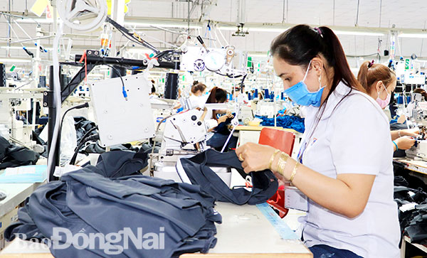 Công ty CP Đồng Tiến (Khu công nghiệp Amata, TP.Biên Hòa) sản xuất quần áo xuất khẩu. Ảnh: H.Giang