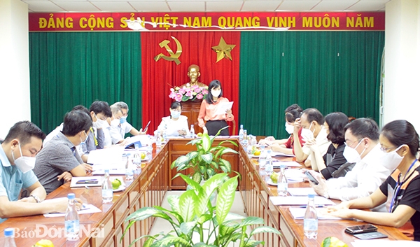 Trưởng ban Văn hóa - xã hội HĐND tỉnh Huỳnh Ngọc Kim Mai phát biểu tại cuộc họp