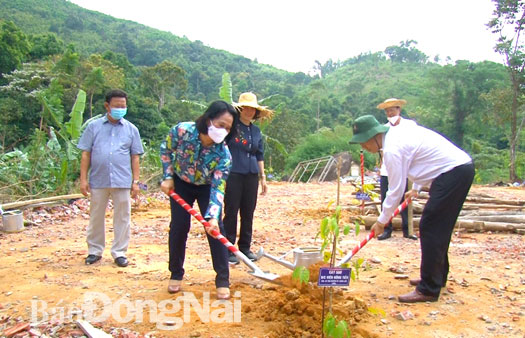 Ủy viên Ban TVTU, Trưởng ban Tổ chức Tỉnh ủy Đặng Minh Nguyệt trồng cây trên núi Chứa Chan