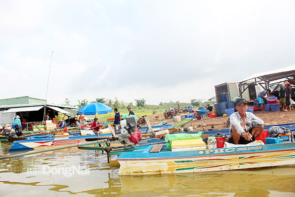 Chợ cá ở ấp 3, xã Mã Đà (H.Vĩnh Cửu) vào mùa con nước “quay”. Ảnh: Đoàn Phú