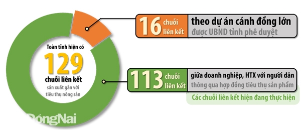 Đồ họa thể hiện số lượng chuỗi liên kết trong sản xuất nông nghiệp ở Đồng Nai. Thông tin: Văn Gia - Đồ họa: Hải Quân