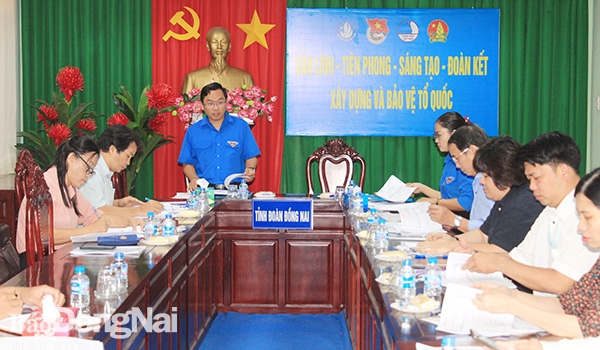 Anh Nguyễn Minh Kiên, Phó bí thư Tỉnh đoàn phát biểu tại cuộc họp