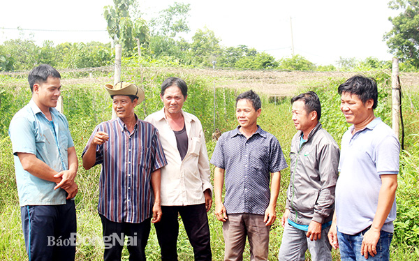 Ông Chín Sơn (thứ 2 từ trái sang) hướng dẫn cho nông dân xã Phú Lợi cách thức xử lý sâu bệnh trên cây trồng khi mưa nhiều. Ảnh: Đoàn Phú