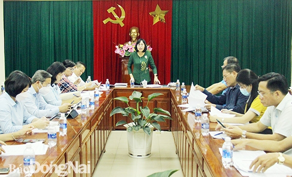 Phó chủ tịch UBND tỉnh Nguyễn Thị Hoàng phát biểu chỉ đạo tại cuộc họp. (Ảnh: Lam Phương)