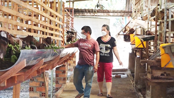 Vợ chồng chị Trần Thị Thùy Trang và anh Vòng Ti Sáng tại trang trại dê của gia đình ở xã Bảo Quang (TP.Long Khánh). Ảnh: T.Nhân
