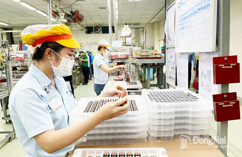 Công nhân làm việc trong nhà máy ở KCN Biên Hòa 2