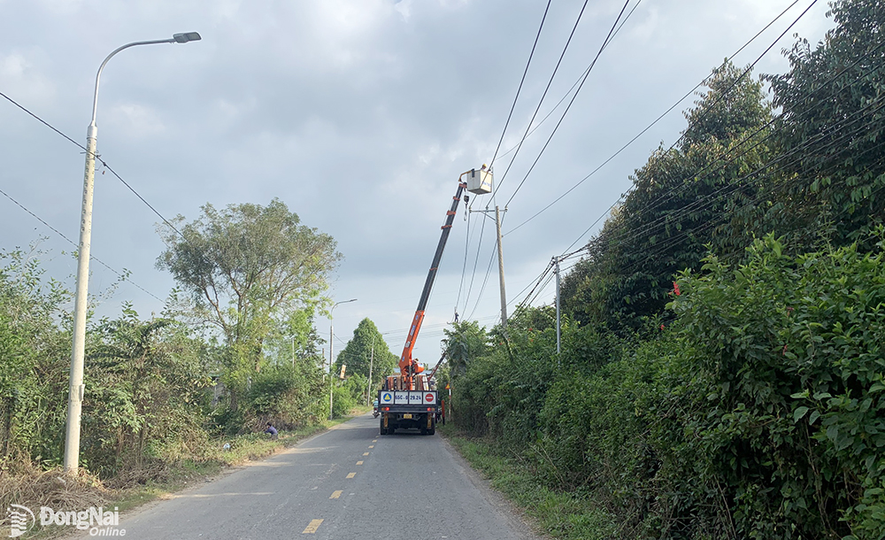 Sửa chữa hệ thống điện nông thôn tại xã Phú An (H.Tân Phú). Ảnh: B.Nguyên