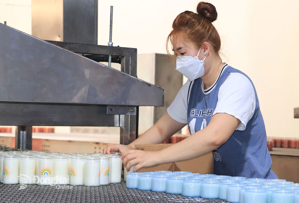 Công ty TNHH Quốc tế Fleming Việt Nam ở Khu công nghiệp Amata (TP.Biên Hòa) đang đầu tư xây dựng thêm nhà máy mới để mở rộng sản xuất. Ảnh: U.Nhi