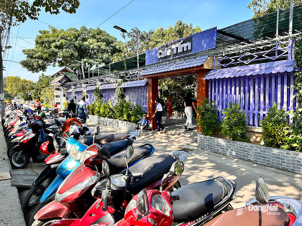 9 giờ sáng bãi xe máy trước quán Cafe Tím đã chật kín xe của khách