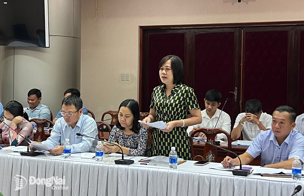 Giám đốc Công ty CP Môi trường Sonadezi Quách Ngọc Bửu phát biểu ý kiến tại hội nghị. Ảnh: Hoàng Lộc