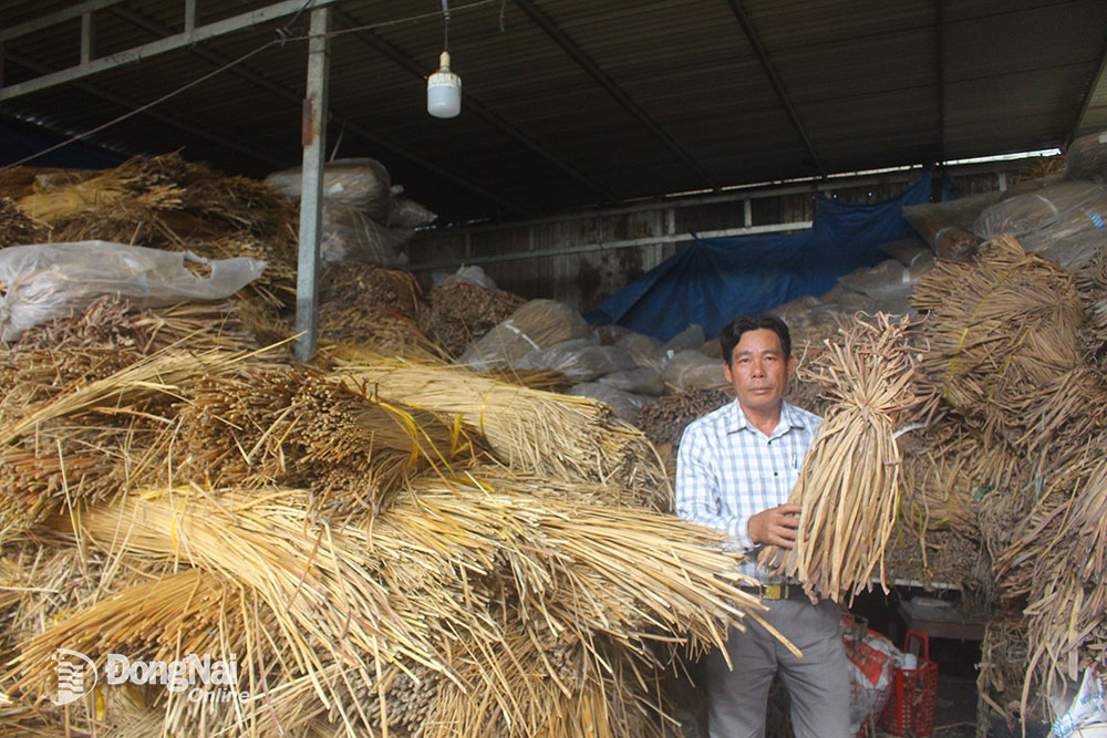 Ông Trần Hoàng Yến (ngụ xã Phú Ngọc, H.Định Quán) đã làm nghề thu mua lục bình và một số nguyên liệu từ thiên nhiên để đan thành các sản phẩm bán cho các công ty xuất khẩu. Ảnh: T.Tâm