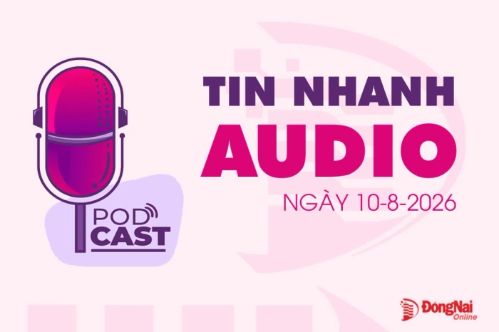 Tin nhanh audio 10-8: U.11 Long Thành vô địch Giải bóng đá nhi đồng Cúp Báo và Phát thanh, Truyền hình Đồng Nai - C.P. Việt Nam; Thi công cọc thí nghiệm tuyến đường trên cao xuyên rừng Mã Đà…