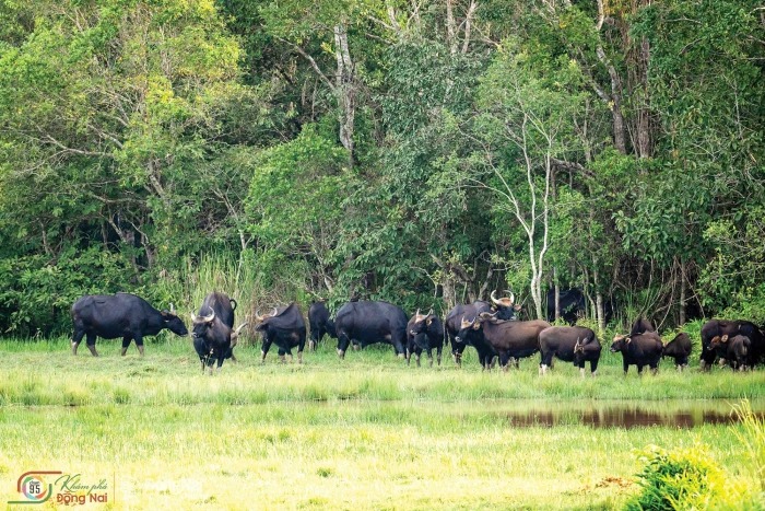 Wildlife watching at Cat Tien National Park