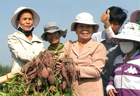 Chị em hội viên phụ nữ ở huyện Xuân Lộc được hướng dẫn trồng khoai lang giống mới, cho hiệu quả kinh tế cao.         