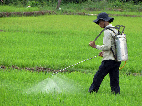 Phun thuốc trừ sâu bệnh hại lúa tại xã Tân An (huyện Vĩnh Cửu)